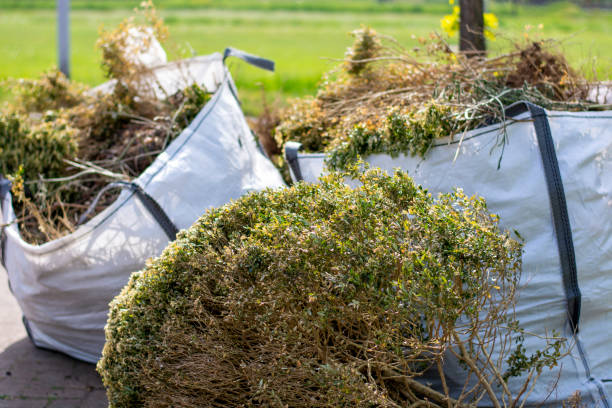 Best Mattress Removal Service  in El Paso, IL