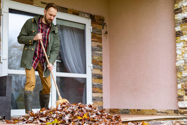 Professional Junk Removal in El Paso, IL